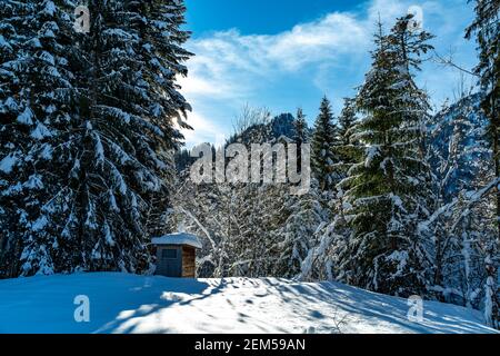 Capanna ai margini della foresta nella foresta di Bregenz, appena innevata. Il sole splende attraverso gli abeti e getta i suoi raggi sulla neve. Austria Foto Stock