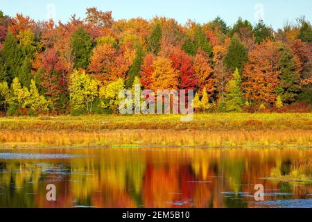 L'Upper Klondike Pond, sulle Pocono Mountains della Pennsylvania, era un ex lago d'impatto creato per l'uso di raccolti commerciali di ghiaccio. La diga ha ora b Foto Stock