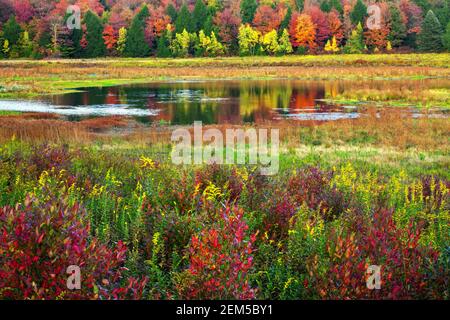 L'Upper Klondike Pond, sulle Pocono Mountains della Pennsylvania, era un ex lago d'impatto creato per l'uso di raccolti commerciali di ghiaccio. La diga ha ora b Foto Stock