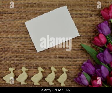tulipani, primrosi, uova dipinte e biscotti a forma di coniglietto Foto Stock