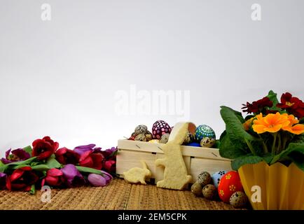 tulipani, primrosi, uova dipinte e biscotti a forma di coniglietto Foto Stock