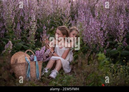 Due sorelle siedono su erba verde in un campo di salvia viola fiorente. Le bambine si abbracciano, tessere le trecce l'una dell'altra. Attività ricreative all'aperto fuori città. Stra Foto Stock