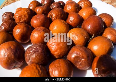 Frutto di jujube indiano, coltivato nella giungla o nella giungla in India, Pakistan, bangladesh Asiatico. Closeup di India frutta colore marrone marrone marrone marrone marrone arancio. Foto Stock