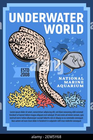 Esotici pesci di mare di anguilla e vomero selene o disegno vettoriale Lookdown di parco marino animale, acquario e oceanarium. Poster subacqueo mondo retro Illustrazione Vettoriale