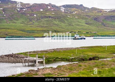 Allevamento ittico in un fiordo in Islanda su una nuvolosa giorno d'estate Foto Stock
