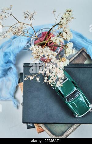 Un'automobile piccola sulla parte superiore dei libri con il vaso di fiori Foto Stock