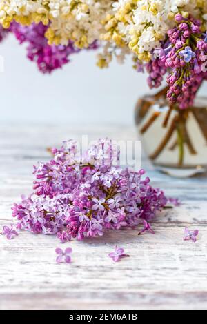 Lilla viola in vaso di vetro su tavolo di legno bianco. Primavera rami di lilla fiore festoso bouquet di fiori. Rametto lilla viola sul tavolo, floreale Foto Stock