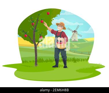 Coltivatore che raccoglie mele in giardino di fattoria, agricoltura e disegno vettoriale di agricoltura. Giardiniere raccogliendo frutta in cestino isolato cartone icona con fiel fattoria Illustrazione Vettoriale