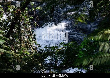 Fiume Paraibuna agitato corrente d'acqua che scorre su formazioni rocciose vide Attraverso Serra do Mar (Sea Ridge) fitta vegetazione forestale Foto Stock