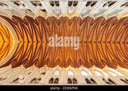 Cobh, Irlanda. 13 maggio 2016. La Cattedrale di San Colman è una cattedrale cattolica romana di Cobh, nella contea di Cork, Irlanda. Foto Stock