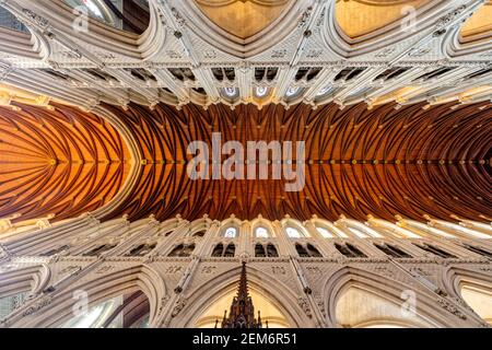 Cobh, Irlanda. 13 maggio 2016. La Cattedrale di San Colman è una cattedrale cattolica romana di Cobh, nella contea di Cork, Irlanda. Foto Stock