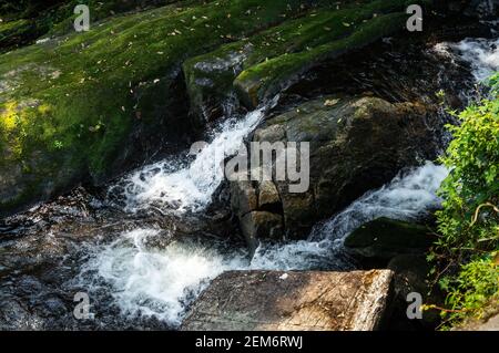 Corrente d'acqua che scorre intorno formazioni rocciose dalla cascata di Ipiranguinha formando una piscina naturale proprio sotto nel mezzo della densa Serra do Mar Foto Stock