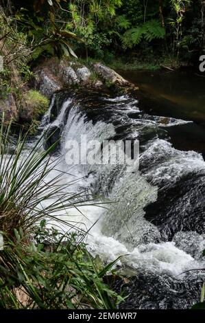 Una piccola cascata nel mezzo del fiume Paraibuna. Questa è una delle molte cascate del fiume che corre nel mezzo della giungla densa di Sea Ridge . Foto Stock