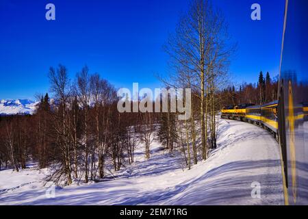 Il treno Aurora dell'Alaska che corre nella neve. Denali National Park, Alaska, Stati Uniti, marzo 2016. Foto Stock