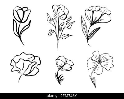 Set di fiori astratti. Linea-art disegnata a mano Contorno disegno nero, elemento botanico. Illustrazione vettoriale per biglietti di auguri e inviti, isolat Illustrazione Vettoriale