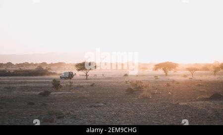 Paesaggio africano al tramonto, con alberi di acacia e safari in auto. Arusha, Tanzania. Africa. Foto Stock