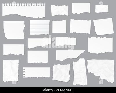 Note di carta strappata, fogli di pagine vettoriali di copybook, carta vuota realistica. Notebook o copybook su carta rigata con bordi strappati e strappati Illustrazione Vettoriale