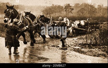 HORSE POWER - una prima immagine che mostra una squadra di 4 cavalli che disegnano un carro in legno britannico. Foto Stock