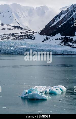 Isbjornhamna, Hornsund Bay, Spitsbergen, Isole Svalbard, Norvegia, Foto Stock