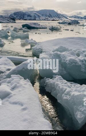 Isbjornhamna, Hornsund Bay, Spitsbergen, Isole Svalbard, Norvegia, Foto Stock