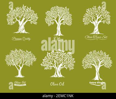Alberi di olivo fattoria icone serie vettoriale. Settore agricolo. Alberi con corona di varie forme, foglie su brunches e crepa nella corteccia di tronco. Extra vergine, oliv Illustrazione Vettoriale