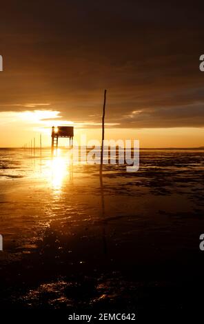 Pilgrim’s Way che si estende attraverso le Sacre Island Sands fino a Holy Island, Northumbria, Inghilterra, Regno Unito Foto Stock