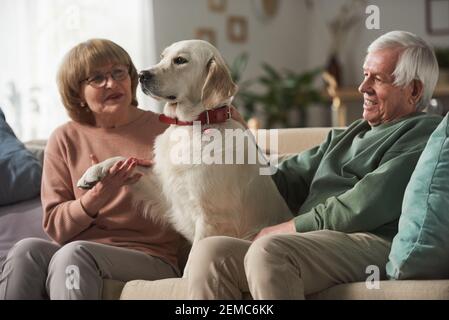 Coppia senior seduta sul divano e giocando con il loro carino cane in soggiorno Foto Stock