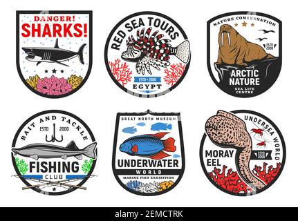Icone di animali marini e marini, pesci sottomarini vita e segni vettoriali del mondo oceanico. Tour subacquei del mondo e corallo reef oceanarium mostra museu Illustrazione Vettoriale