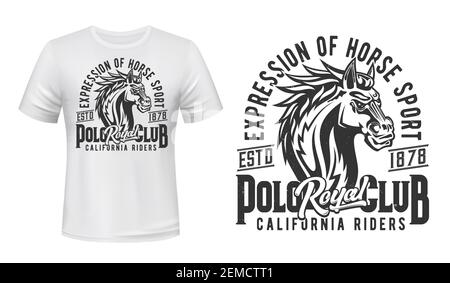 T-shirt con stallone, mockup con stampa sportiva equestre, club di corse di cavalli. Stallone di cavallo selvatico o mustang, equitazione e corse di cavalli California Riders Roy Illustrazione Vettoriale