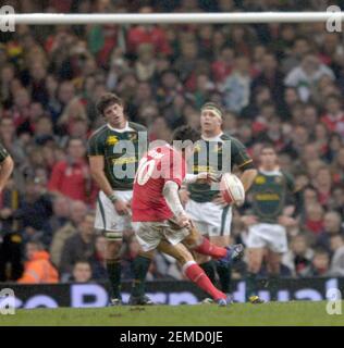 IL PRINCIPE WILLIAM CUP GALLES V SUD AFRICA AL MILLENNIUM STADIUM CARDIFF. 24/11/2007. IMMAGINE DAVID ASHDOWN Foto Stock