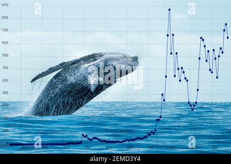 Breaching balena con il mercato azionario denaro criptato valore bitcoin diagramma diagramma di flusso Foto Stock