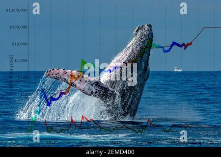 Breaching balena con il mercato azionario denaro criptato valore bitcoin diagramma diagramma di flusso Foto Stock