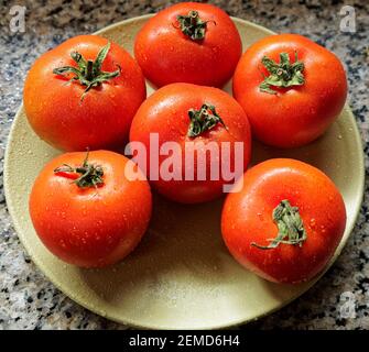 25 Feb 2021 sei pomodori rossi biologici freschi su un Piastra gialla portata da frigorifero Lok Gram Kalyan Maharashtra India Foto Stock