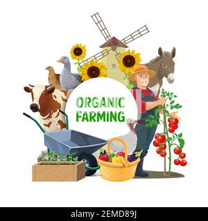 Agricoltore con animali da fattoria e ortaggi vettore icona di agricoltura e agricoltura biologica progettazione. Mucca, oca e cesto di raccolta giardino con pomodori e. Illustrazione Vettoriale