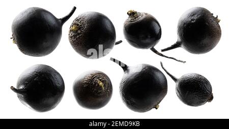Un set di turnip neri. Isolato su sfondo bianco Foto Stock
