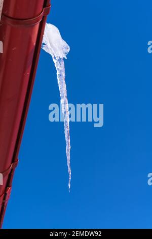 Un grande icicolo trasparente contro un cielo blu chiaro è sospeso da un tubo di scarico rosso in inverno alla vigilia di molla Foto Stock