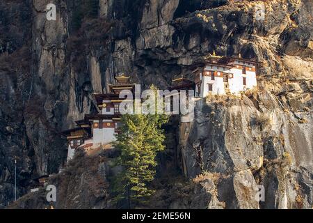 Taktsang Lhakhang, Paro, Bhutan Foto Stock