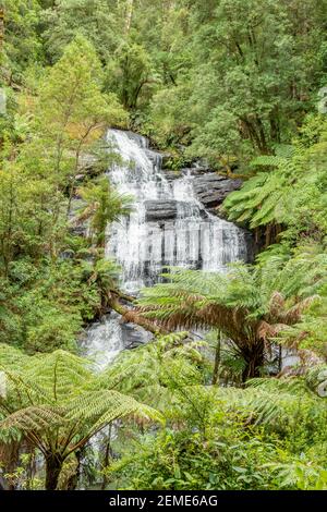 Triplet Falls, Great Otway National Park, Victoria, Australia Foto Stock