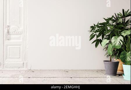 Interni in bianco mock-up con vecchie porte rustiche e una varietà di piante decorative in vaso casa 3D rendering, illustrazione 3D Foto Stock
