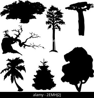 Set vettoriale di silhouette di alberi neri isolato su sfondo bianco Illustrazione Vettoriale