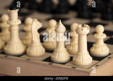 Pezzi di scacchi bianchi si trovano su una tavola di legno. Primo piano scacchi in legno Foto Stock