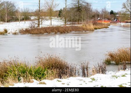 rhs hyde hall, il lago in una giornata innevata di inverni Foto Stock