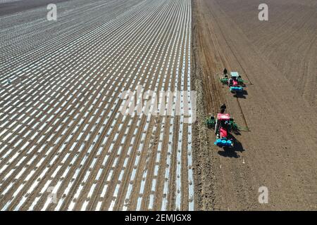 Washington, Stati Uniti. 25 Marzo 2020. La foto aerea del 25 marzo 2020 mostra le macchine da semina che lavorano nei campi della Contea Autonoma di Qapqal Xibe, nella regione autonoma di Xinjiang Uygur, nella Cina nord-occidentale. Credit: Notizie dal vivo Sadat/Xinhua/Alamy Foto Stock
