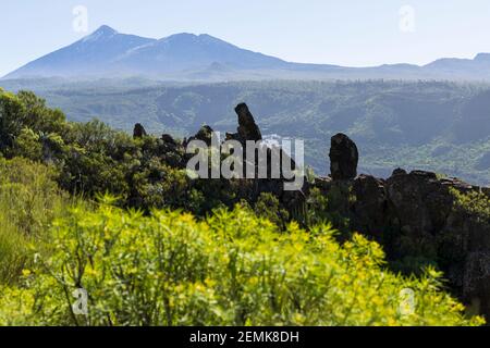 Formazioni rocciose tra arbusti verdi e il vulcano Teide alle spalle visto da El molledo a Risco Blanco Walk nella zona di Santiago del Teide, Tenerife Foto Stock