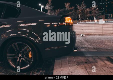 Modificato Holden commodore ss (Chevrolet Lumina)| Auto australiane | vetture sportive uniche Foto Stock