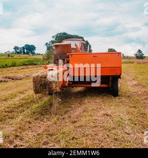 Il trattore raccoglie il fieno secco nel campo, il fieno preme la pressa balle, lavora nel campo.2020 Foto Stock
