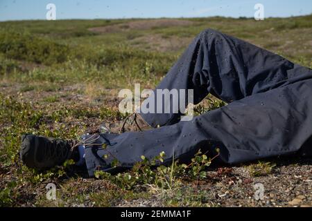 Primo piano delle gambe di pantaloni dell'uomo ricoperte di zanzare, adagiato sulla tundra artica in estate, territori del Nord-Ovest, Artico del Canada. Foto Stock