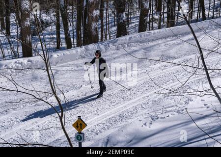 Montreal, CA - 4 febbraio 2021: Donna che sciava su un sentiero innevato nel Mount Royal Park di Montreal (Parc Du Mont-Royal) dopo la tempesta di neve. Foto Stock