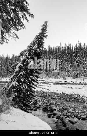 Fotografia in bianco e nero del fiume Maligne nel Jasper National Park, Canada Foto Stock