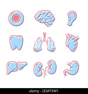Set di semplici icone colorate di organi umani isolati bianco Illustrazione Vettoriale